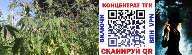 Дистиллят ТГК THC oil  Купить где  Нарьян-Мар 