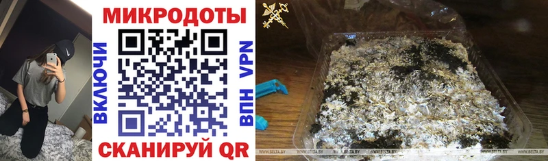 Купить закладки  Нарьян-Мар  Псилоцибиновые грибы MAGIC MUSHROOMS 